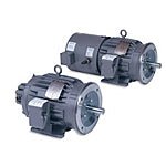IDNM3669T Baldor AC Inverter/Vector Duty Motor (2 HP, 1800 RPM, 3 Phase, 182TC Frame, TENV Enclosure, 230/460 Voltage)