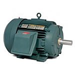 ECP83587T-4 Baldor IEEE 841 Motors (2 HP, 1800 RPM, 3 Phase, 145T Frame, TEFC Enclosure, 460 Voltage)