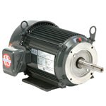 UJ2P1GM U.S. Motors Special Application Close Coupled Pump Motor (2 HP, 3600 RPM, 575 Voltage, Three Phase, 60 Hz, 145JM Frame)